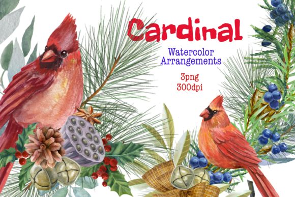 Christmas Watercolor Clipart,cardinal in Illustrations for Modern Brands