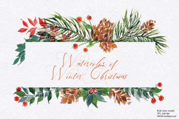 Watercolor of Winter Christmas Illustration Review