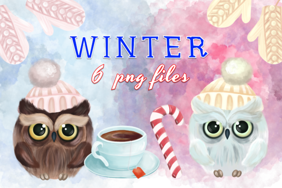 Winter Christmas Cute Owl Embroidery Review